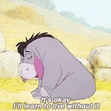 eeyore and Seth trying to be positive.gif