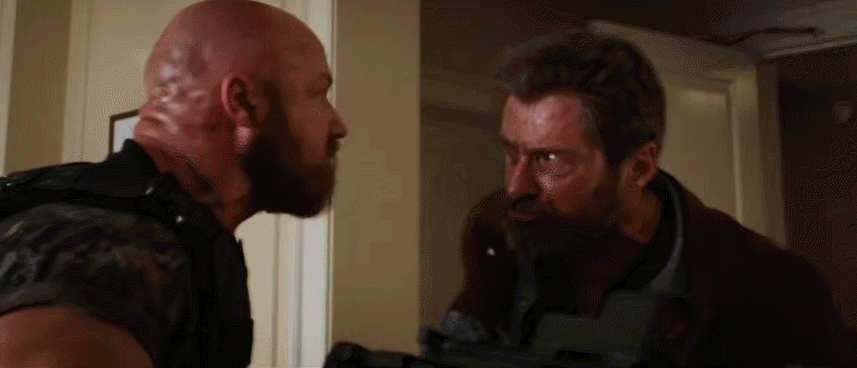 Logan doing a Logan thing to a Cardinal.gif
