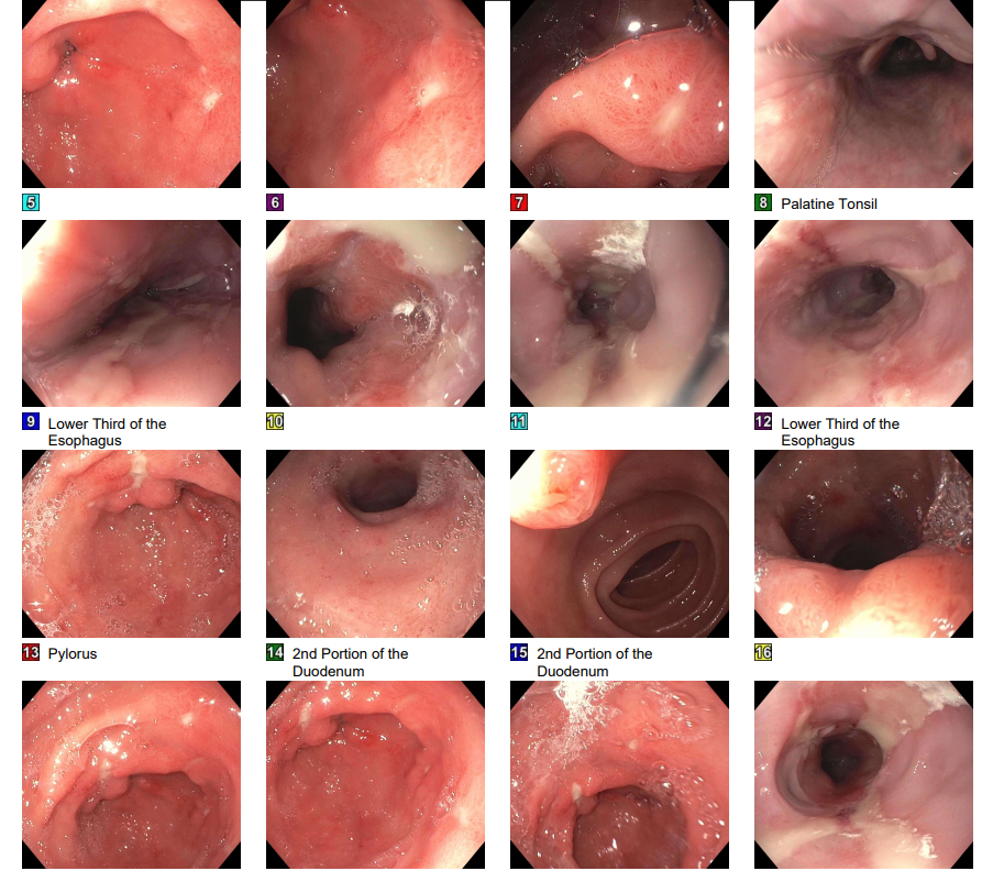 Screenshot 2026-04-14 071221.png