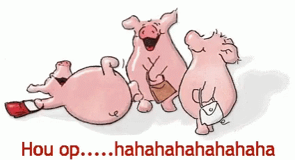laughing-pig.gif