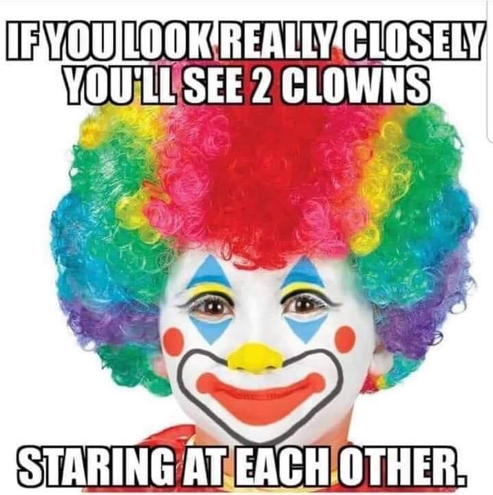 FB_IMG_1563257369043.jpg