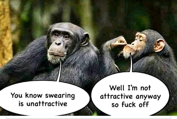 FB_IMG_1622257473302.jpg