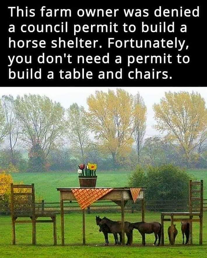FB_IMG_1623047352922.jpg