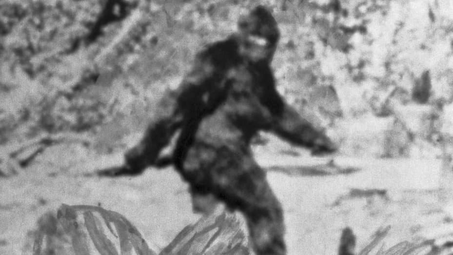 105951036-1559761167164bigfoot.jpg